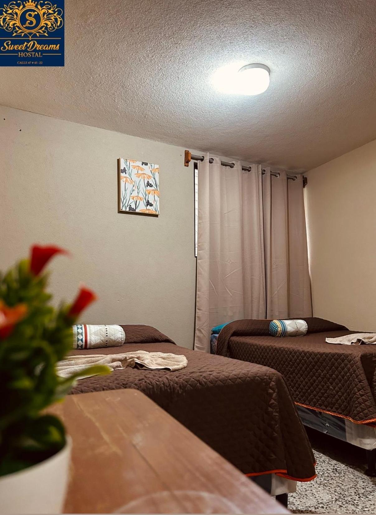 Hostal Sweet Dreams Панахачель Экстерьер фото